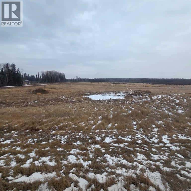 Lot 4 Range Road 175 — Rural Yellowhead County, Alberta - Photo 2 of 9