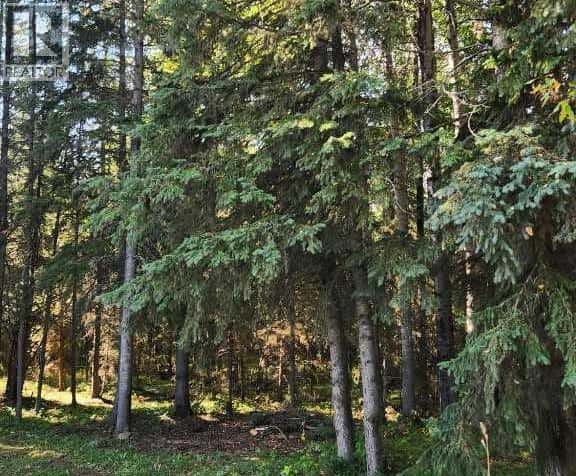 Range Road 6.2 — Rural Clearwater County, Alberta - Photo 4 of 16