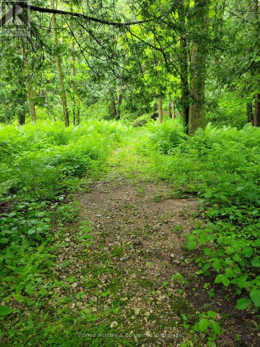 183 ANDERSON DRIVE — West Grey, Ontario - Photo 5 of 10