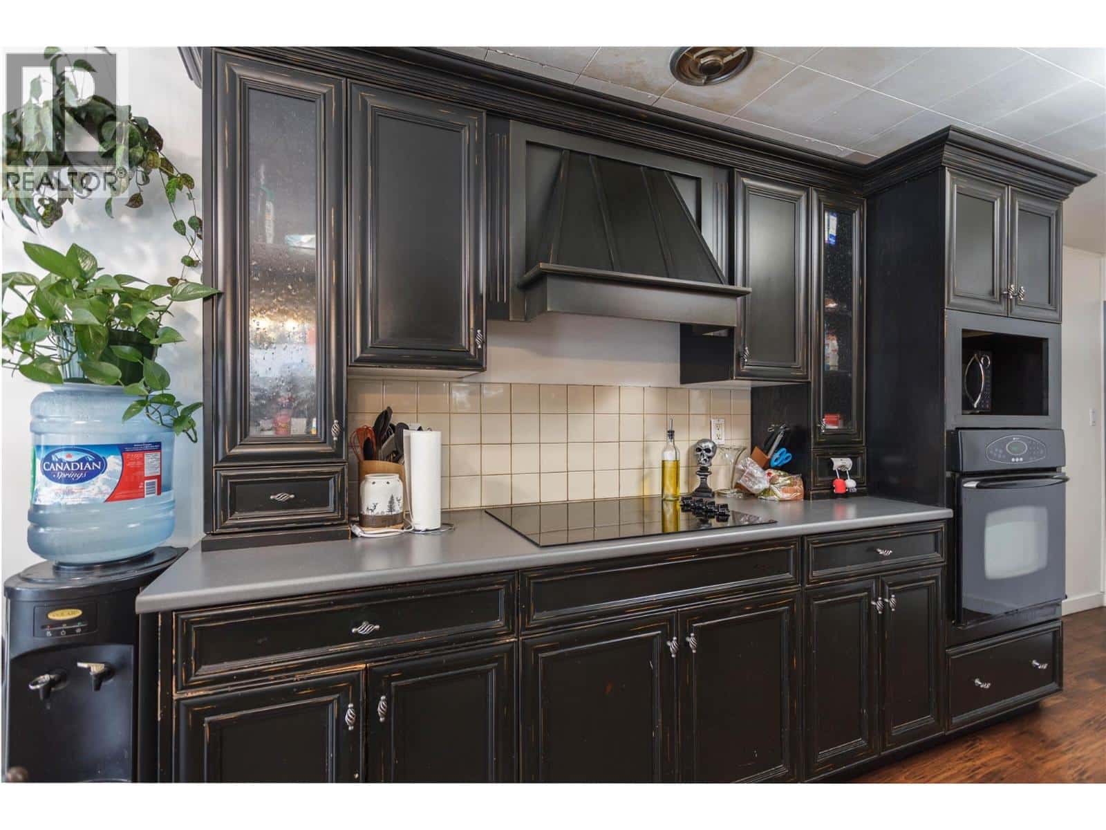 2017 Catt Avenue — Lumby, British Columbia - Photo 3 of 33