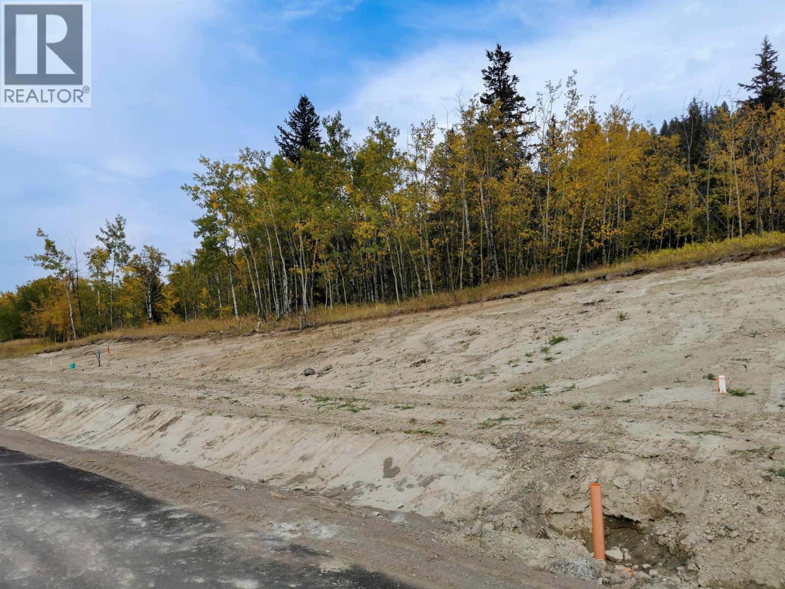 292 BLACKSTOCK ROAD — 100 Mile House, British Columbia - Photo 4 of 7