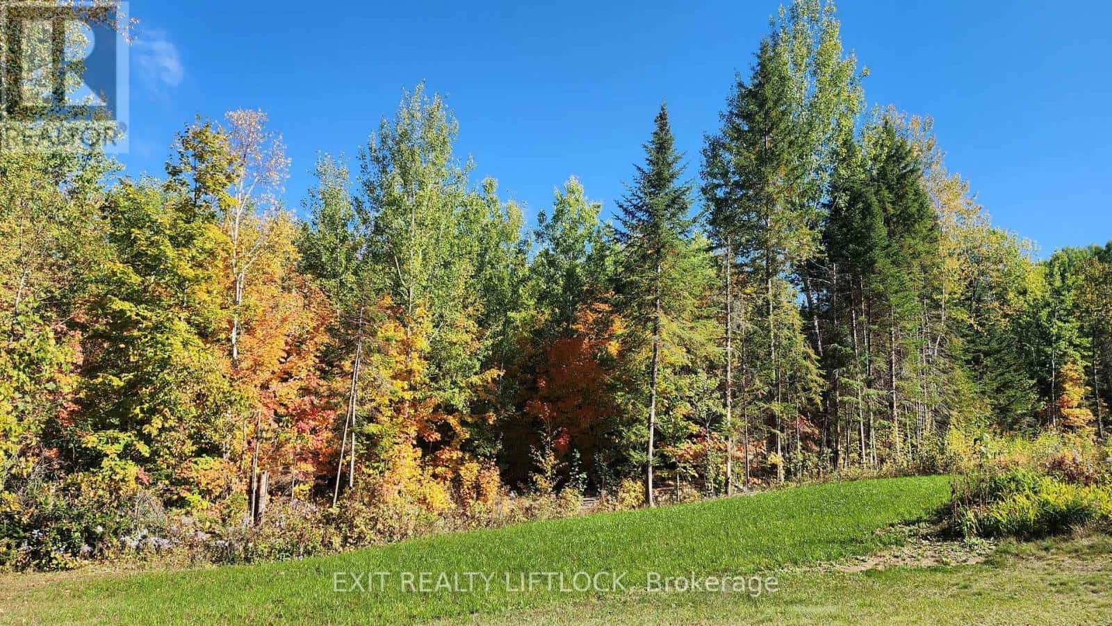 868 ADDINGTON ROAD — Brudenell, Lyndoch and Raglan, Ontario - Photo 3 of 48