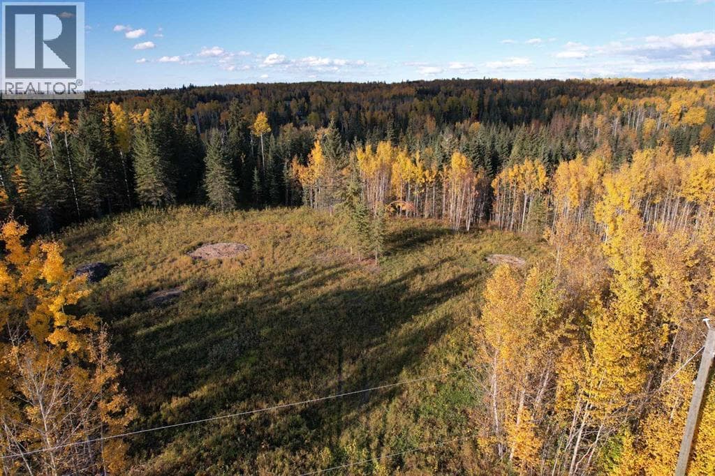 Lot 5 114046 Township 590 — Rural Woodlands County, Alberta - Main photo