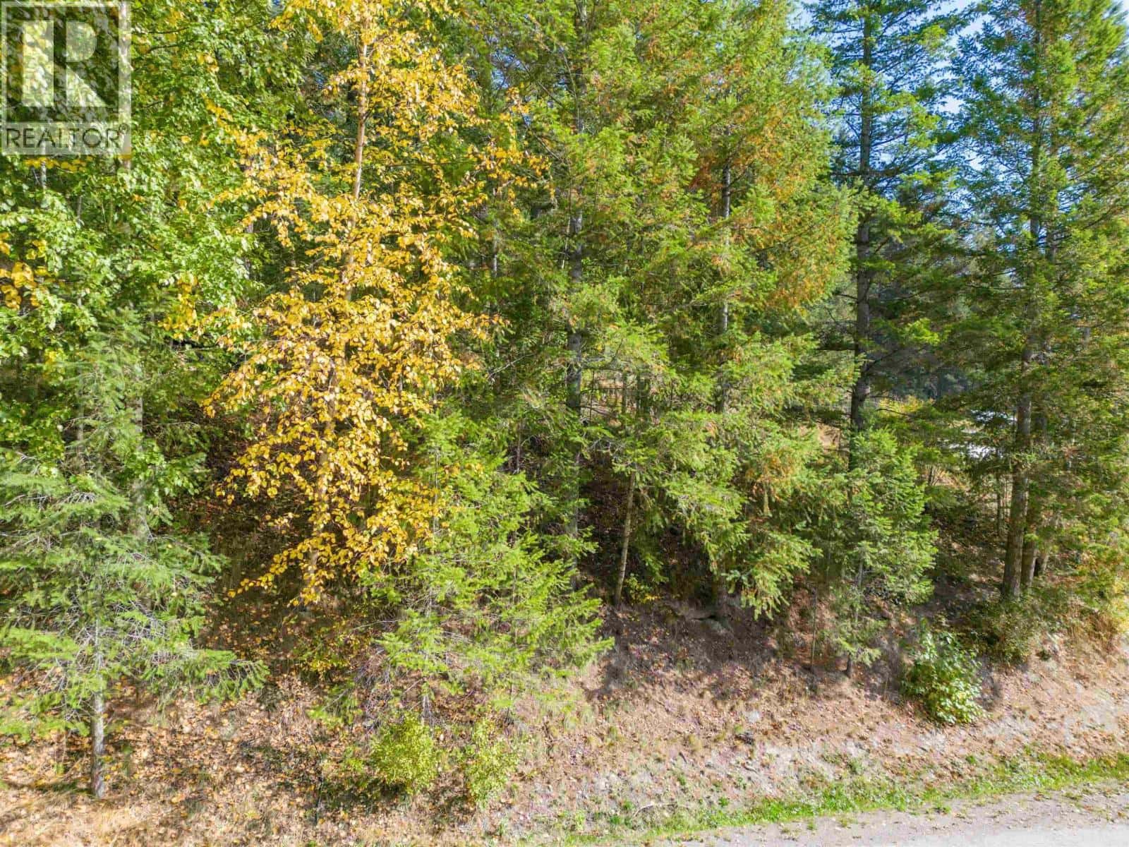 LOT 3 RAINBOW DRIVE — Canim Lake, British Columbia - Photo 3 of 14