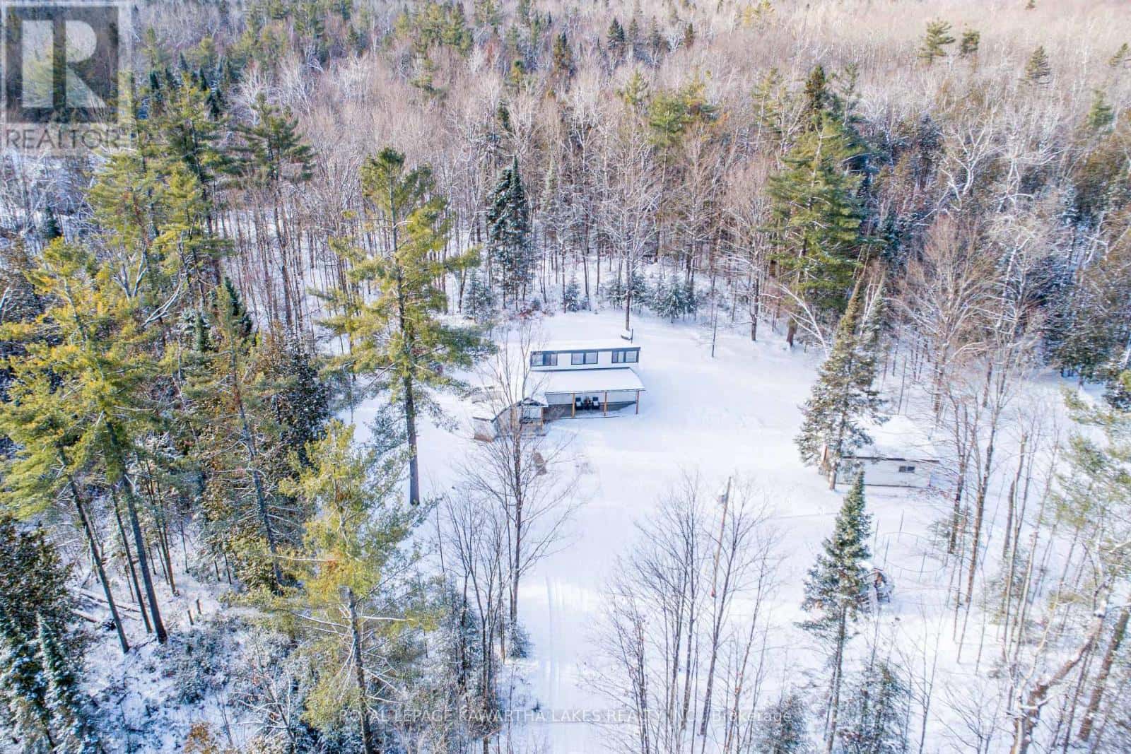 57 FERGUSON ROAD — Kawartha Lakes (Bexley), Ontario - Photo 5 of 40