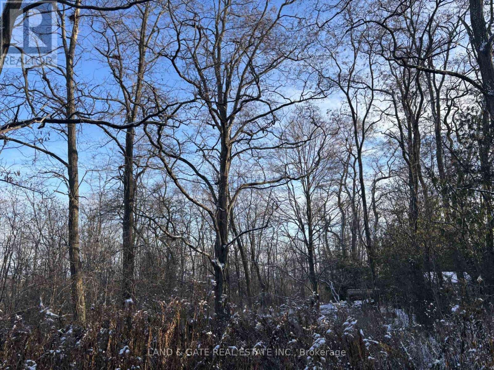 00 KELWOOD LANE — Cramahe, Ontario - Photo 2 of 6