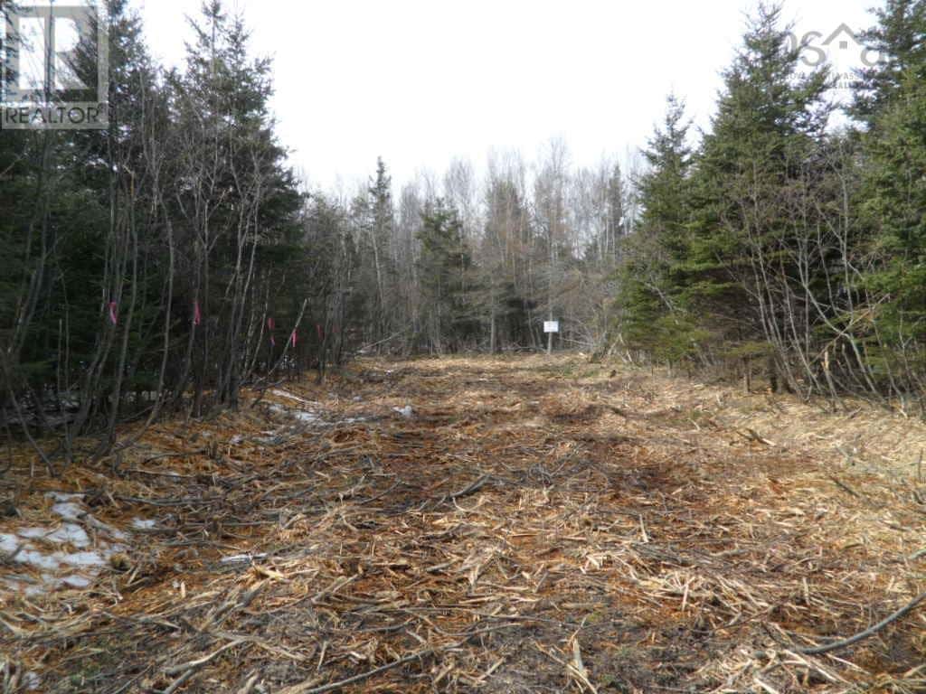 2M Highway 224 — Elmsvale, Nova Scotia - Photo 4 of 14