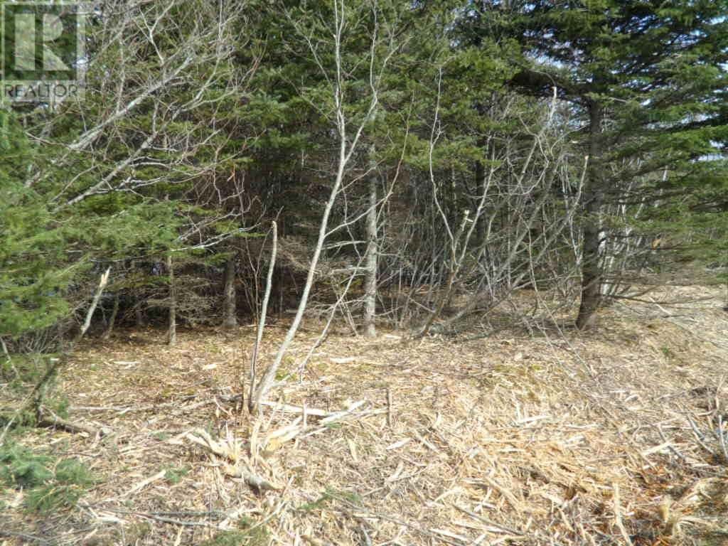 2N Highway 224 — Elmsvale, Nova Scotia - Photo 3 of 14