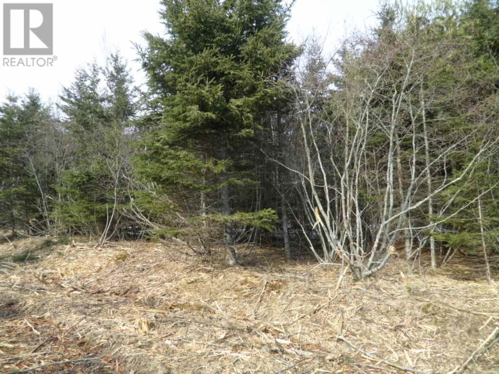 1V Highway 224 — Elmsvale, Nova Scotia - Main photo