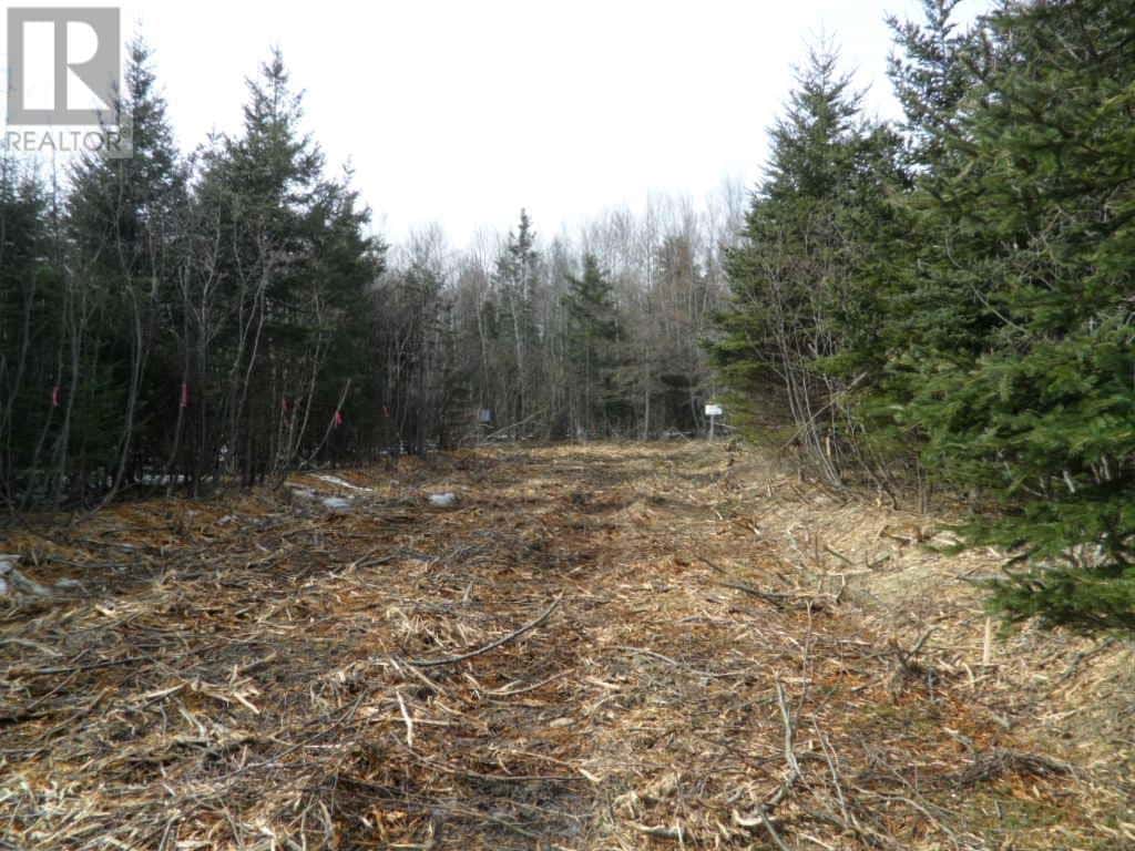 2P Highway 224 — Elmsvale, Nova Scotia - Photo 2 of 14