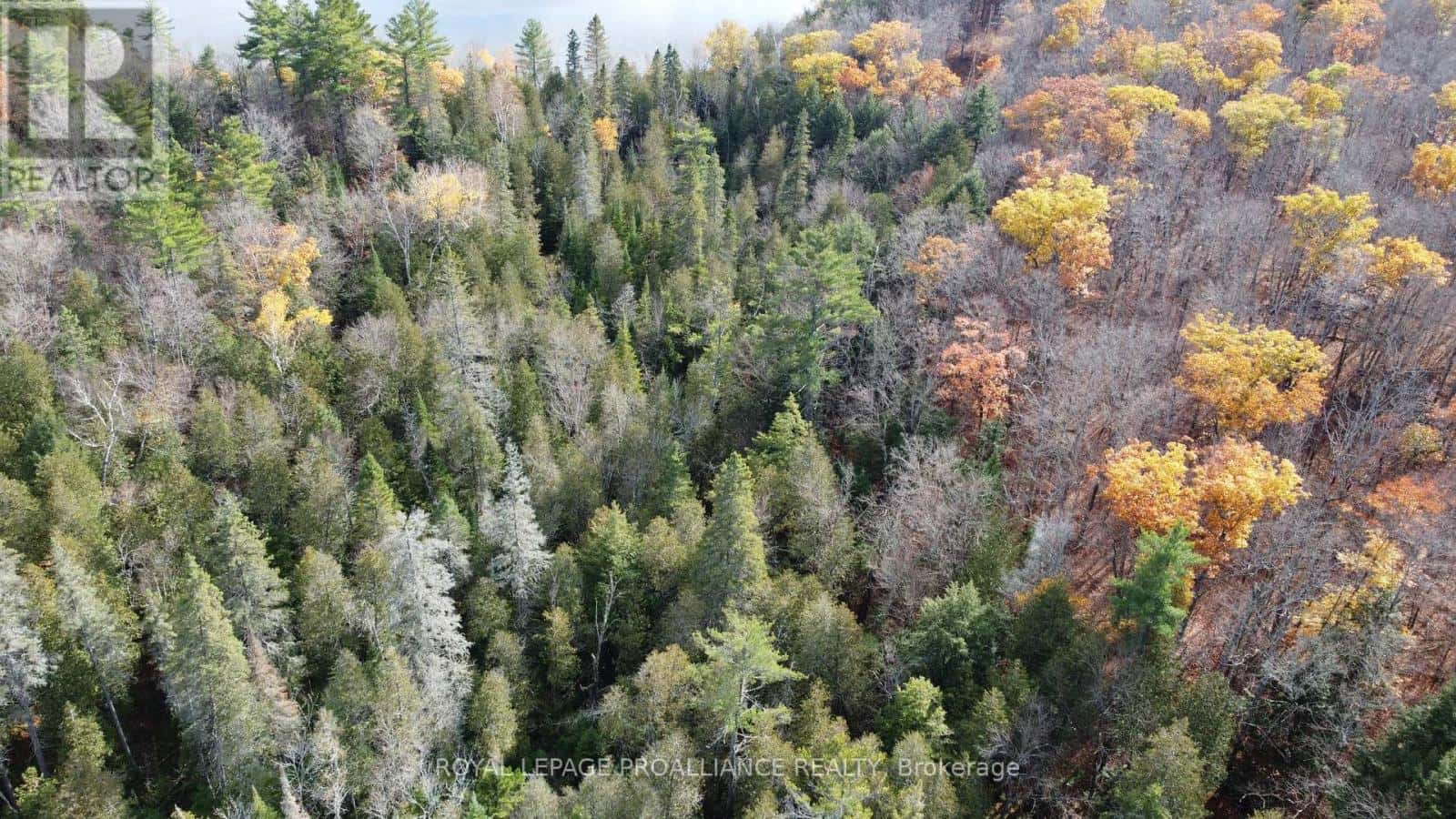 1070 PERRY LANE - LOT 1 LANE — North Frontenac (Frontenac North), Ontario - Photo 2 of 12