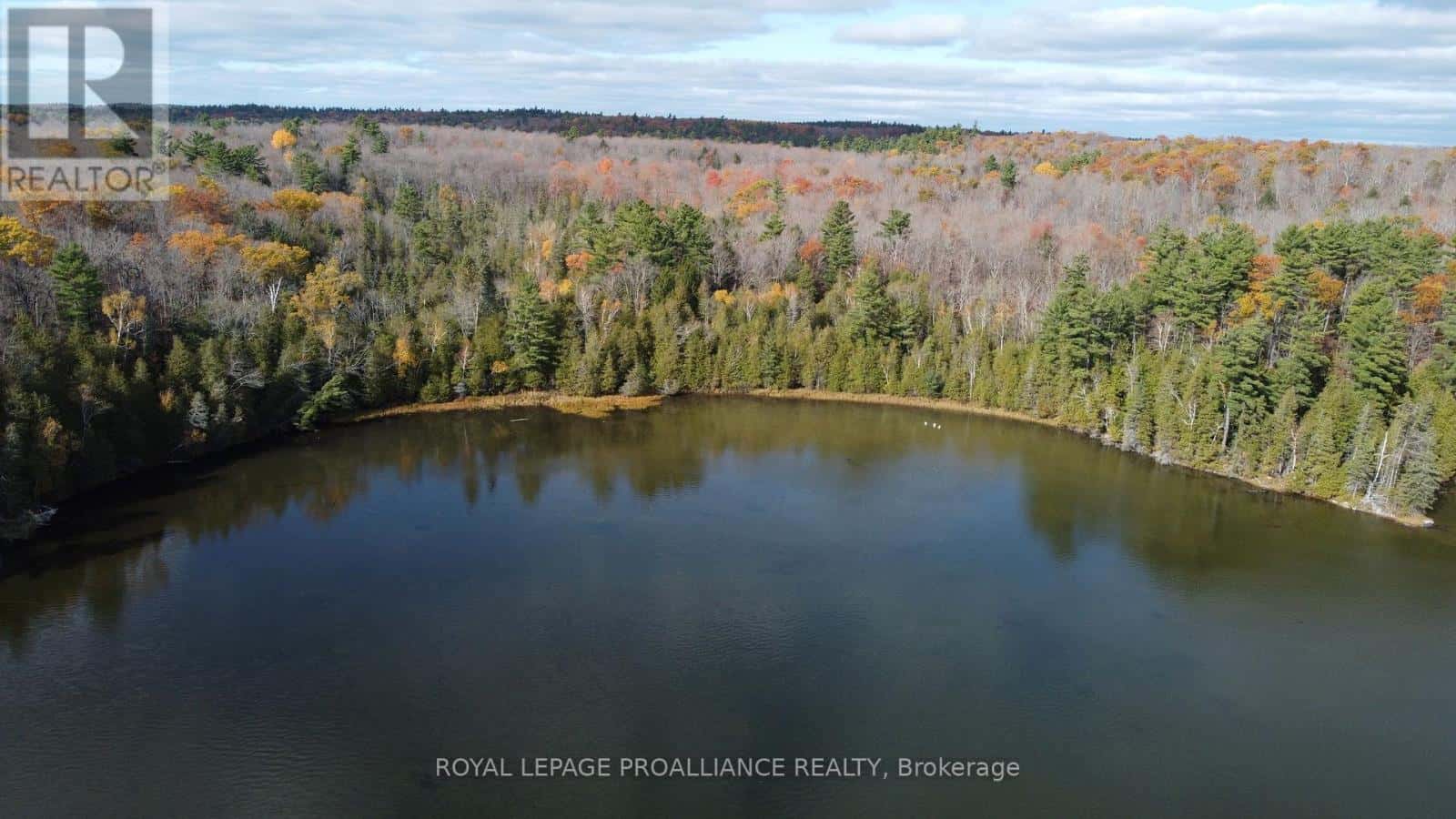 1070 PERRY LANE - LOT 2 LANE — North Frontenac (Frontenac North), Ontario - Photo 4 of 14
