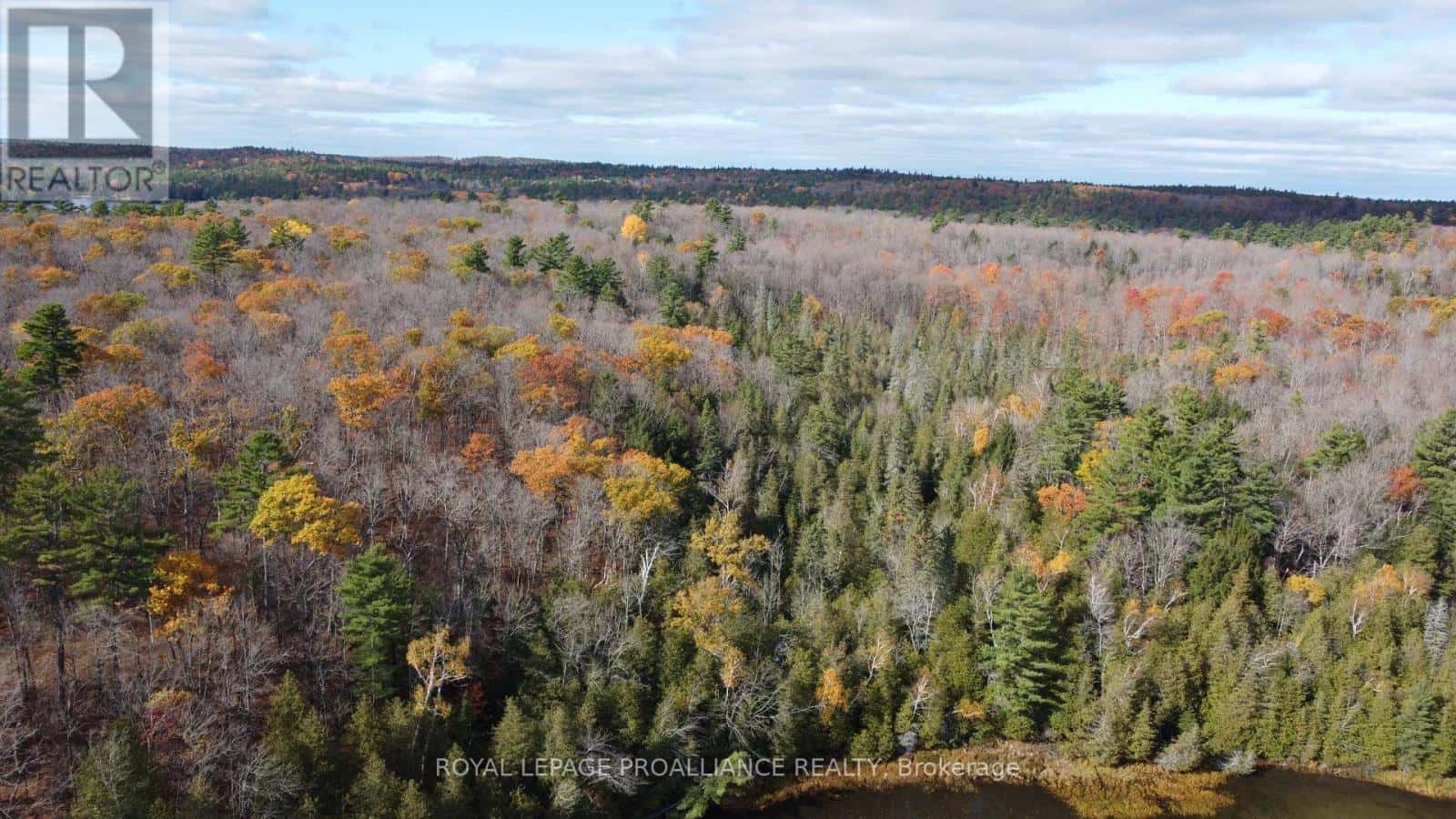 1070 PERRY LANE - LOT 2 LANE — North Frontenac (Frontenac North), Ontario - Photo 5 of 14