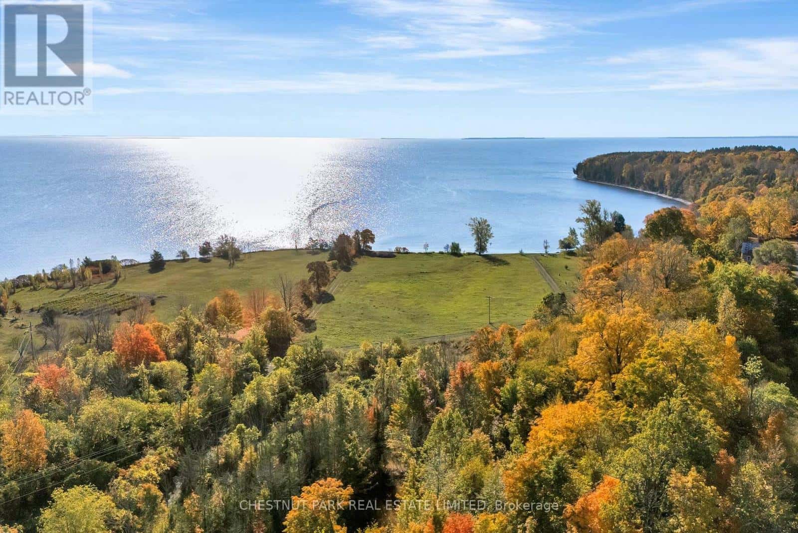 4176 COUNTY ROAD 8 — Prince Edward County (North Marysburg Ward), Ontario - Photo 3 of 34