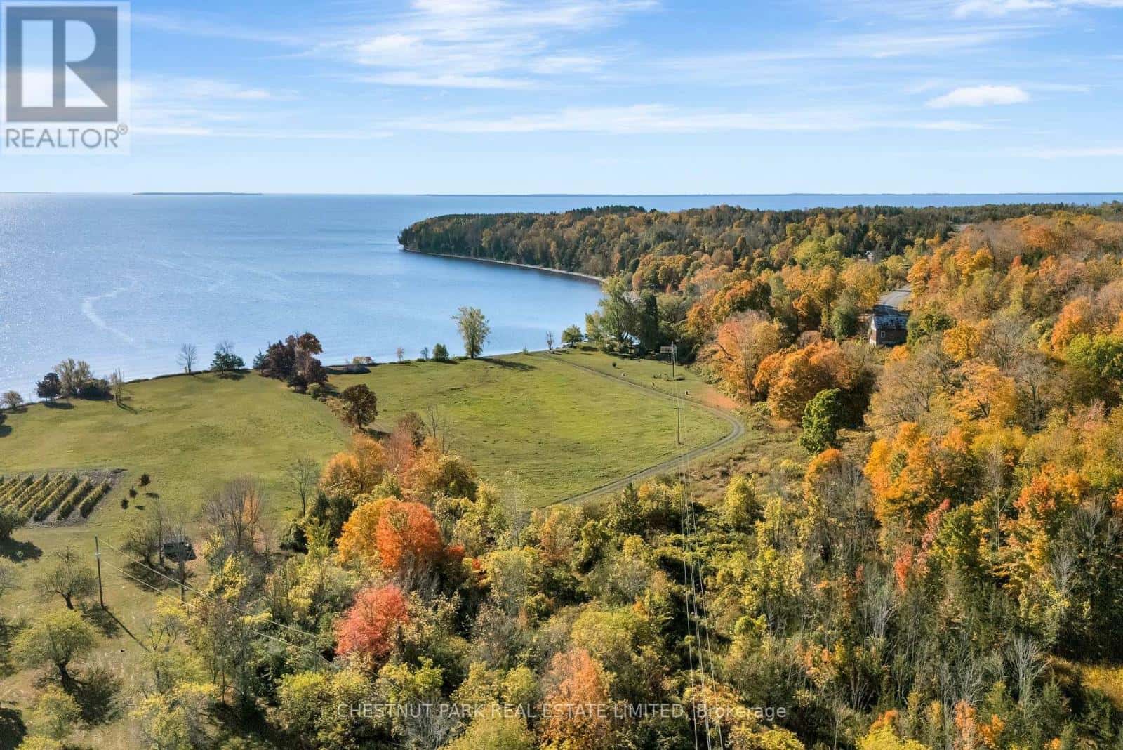 4176 COUNTY ROAD 8 — Prince Edward County (North Marysburg Ward), Ontario - Photo 4 of 34