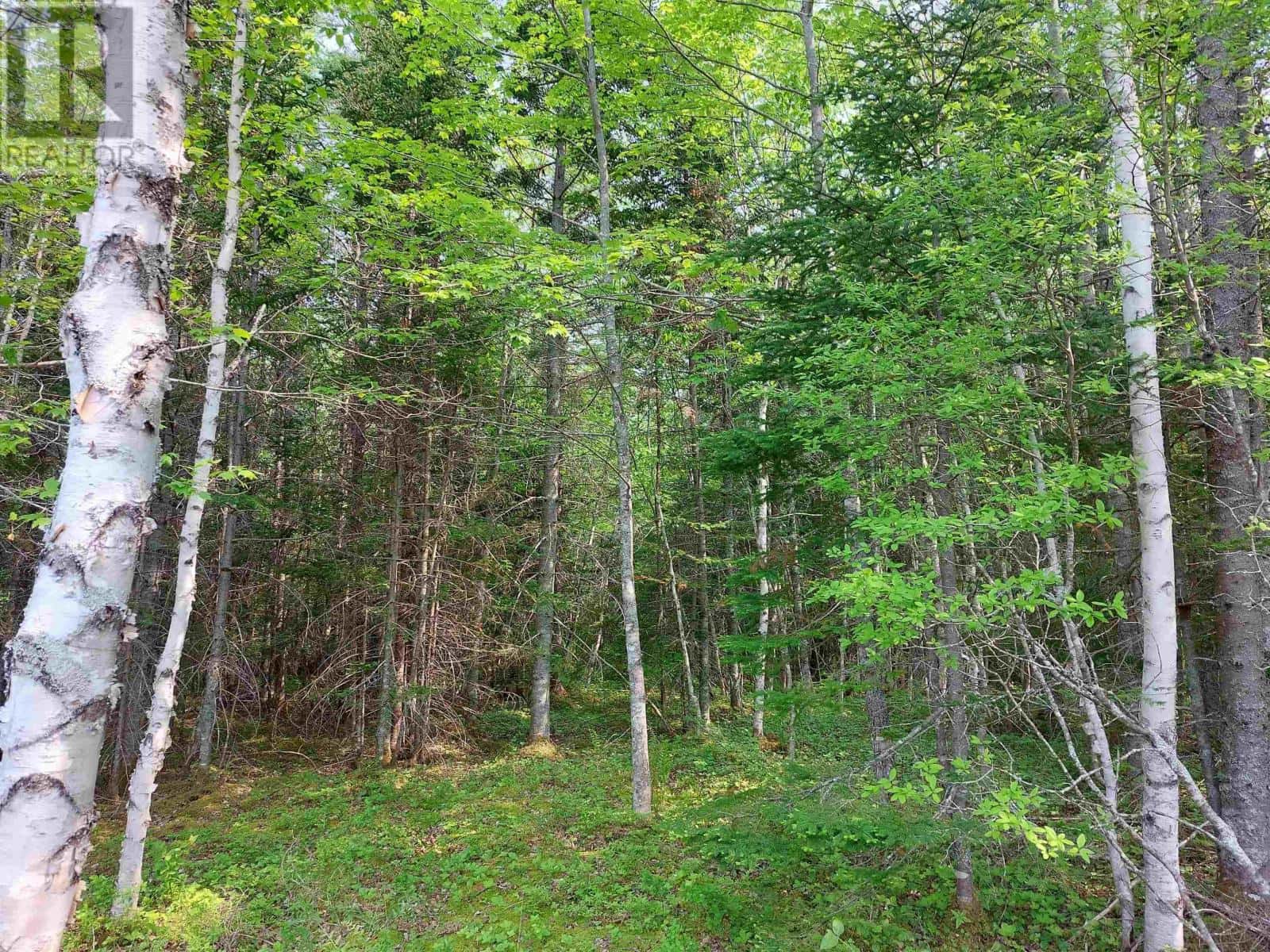 Lot 4 Beaver Ln. — Grantville, Nova Scotia - Photo 5 of 21