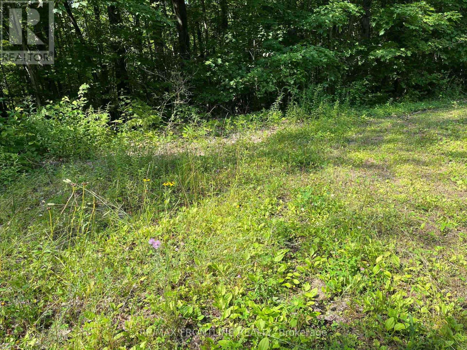 0 RED PINE ROAD — Tay Valley, Ontario - Photo 4 of 10