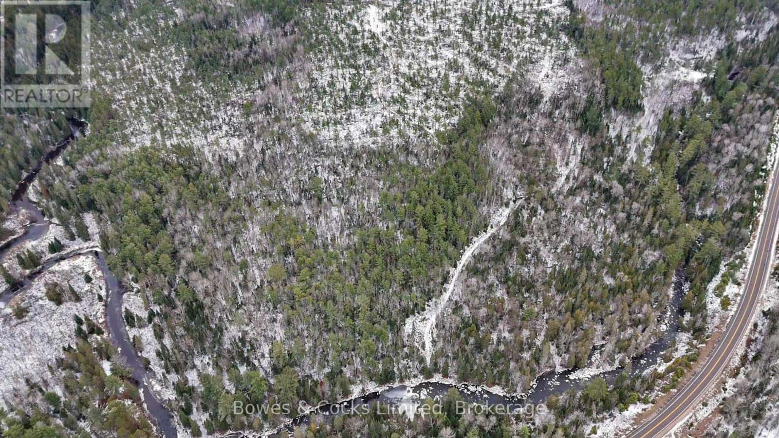 0 PARK ROAD — Hastings Highlands (Wicklow Ward), Ontario - Photo 5 of 19