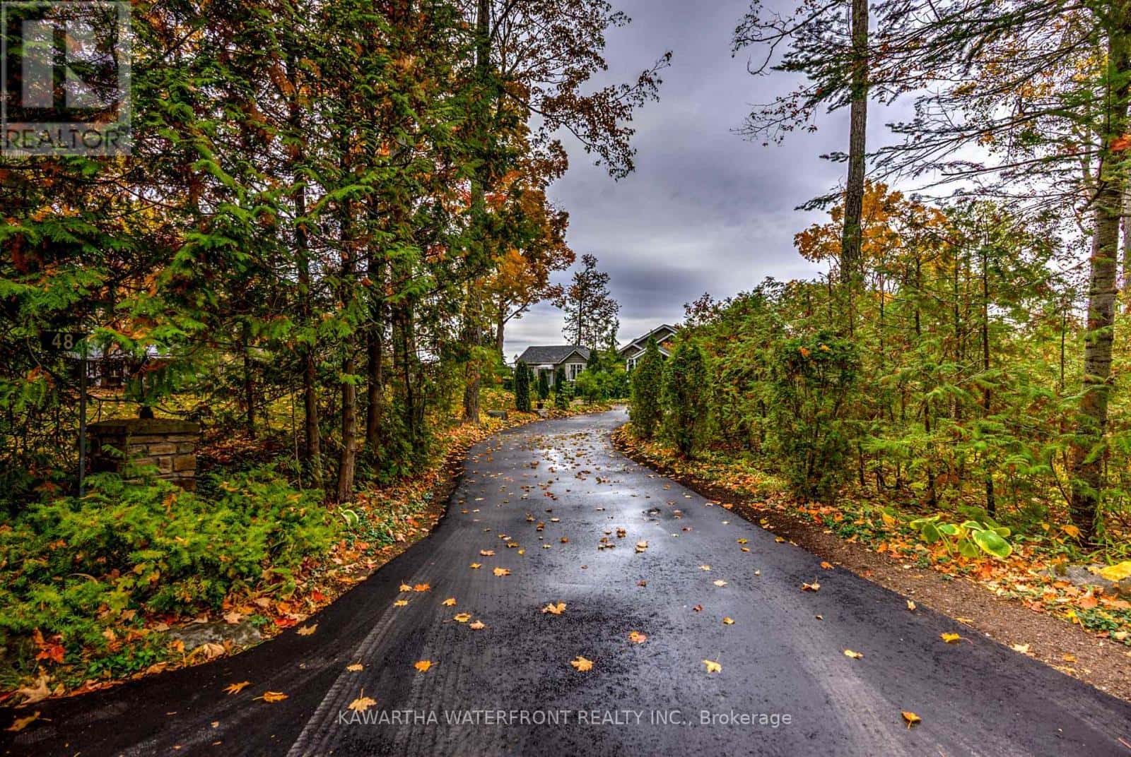 48 MAPLE AVENUE — Kawartha Lakes (Bexley), Ontario - Photo 4 of 48