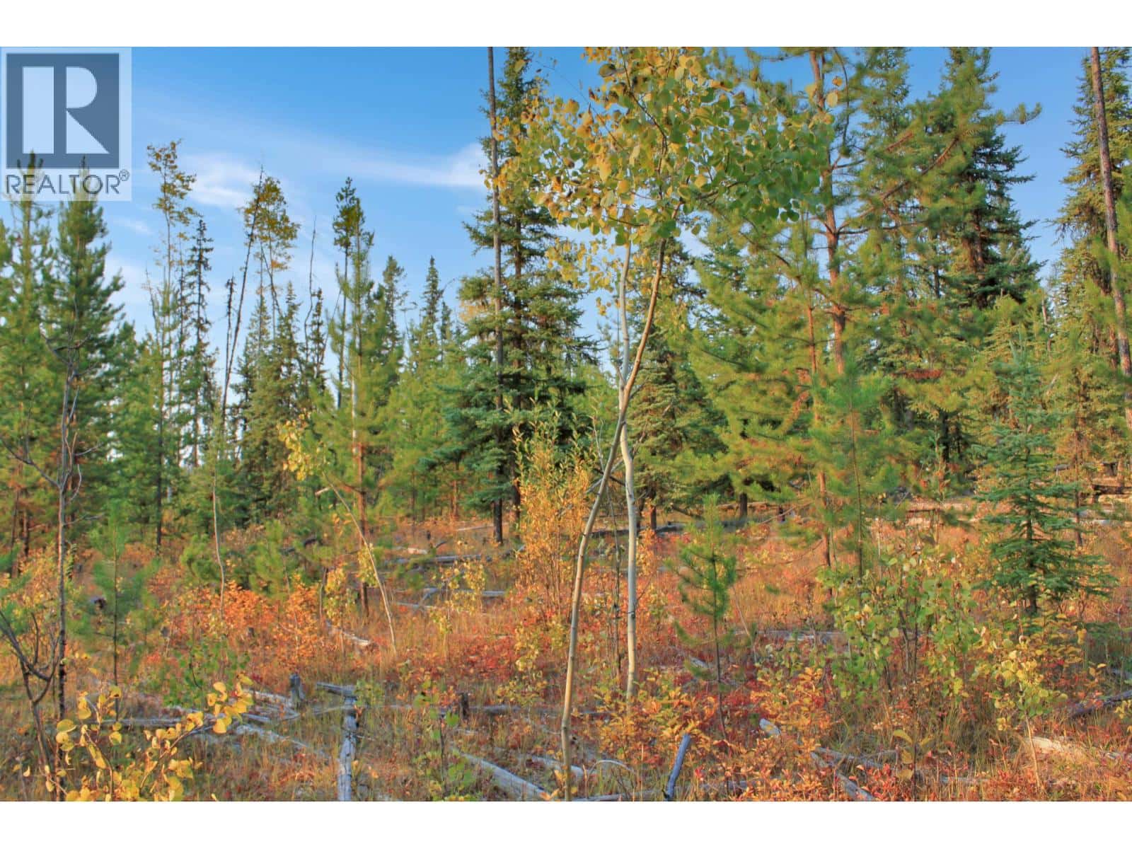 PROP LOT 4 BROWN ROAD — Bridge Lake, British Columbia - Photo 2 of 37