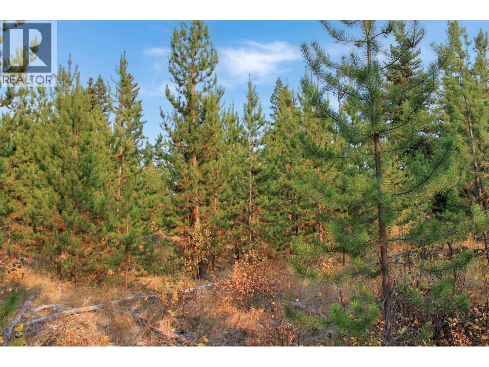 PROP LOT 4 BROWN ROAD — Bridge Lake, British Columbia - Photo 4 of 37