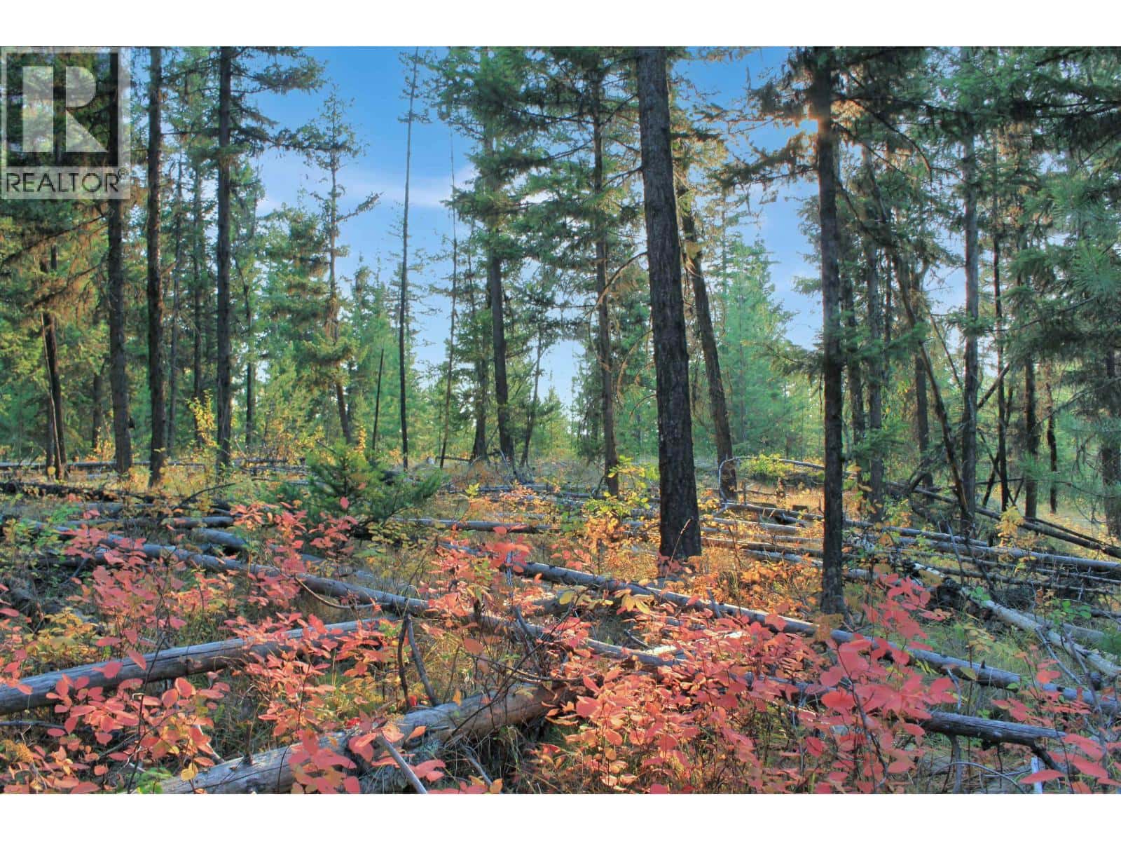 PROP LOT 4 BROWN ROAD — Bridge Lake, British Columbia - Photo 3 of 37