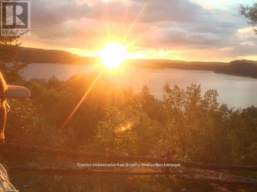 0 HIGHWAY 35 HIGHWAY — Lake of Bays (Ridout), Ontario - Photo 4 of 48