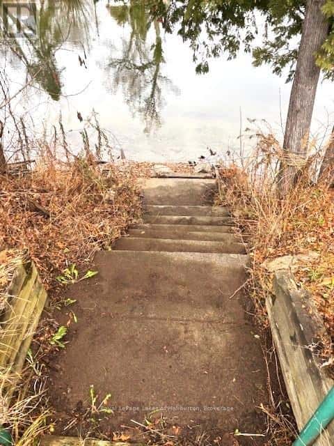 3 ANSON STREET — Minden Hills (Lutterworth), Ontario - Photo 3 of 44