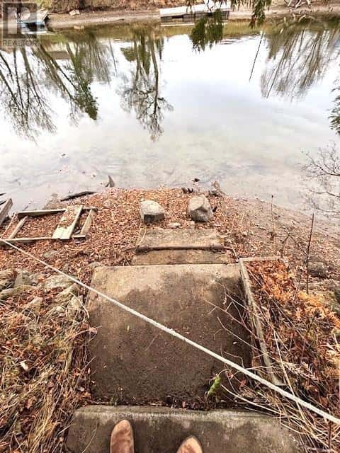 3 ANSON STREET — Minden Hills (Lutterworth), Ontario - Photo 4 of 44