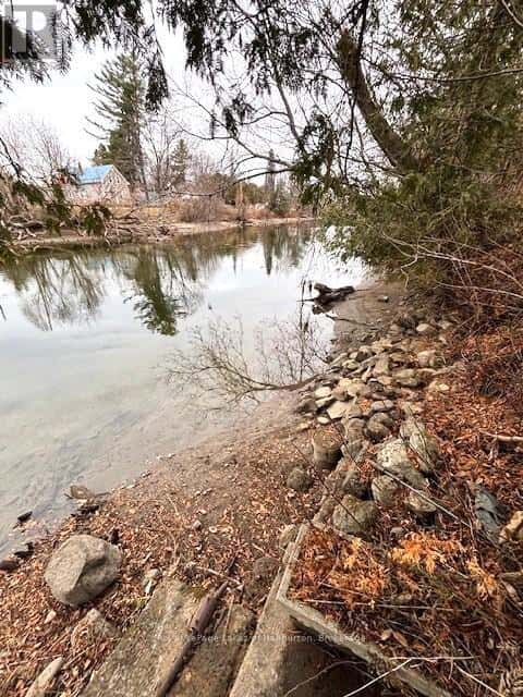 3 ANSON STREET — Minden Hills (Lutterworth), Ontario - Photo 5 of 44