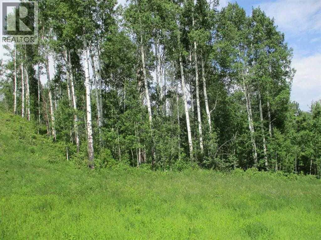 NW-9-89-21-W5 Deadwood — Rural Northern Lights, County of, Alberta - Photo 5 of 12