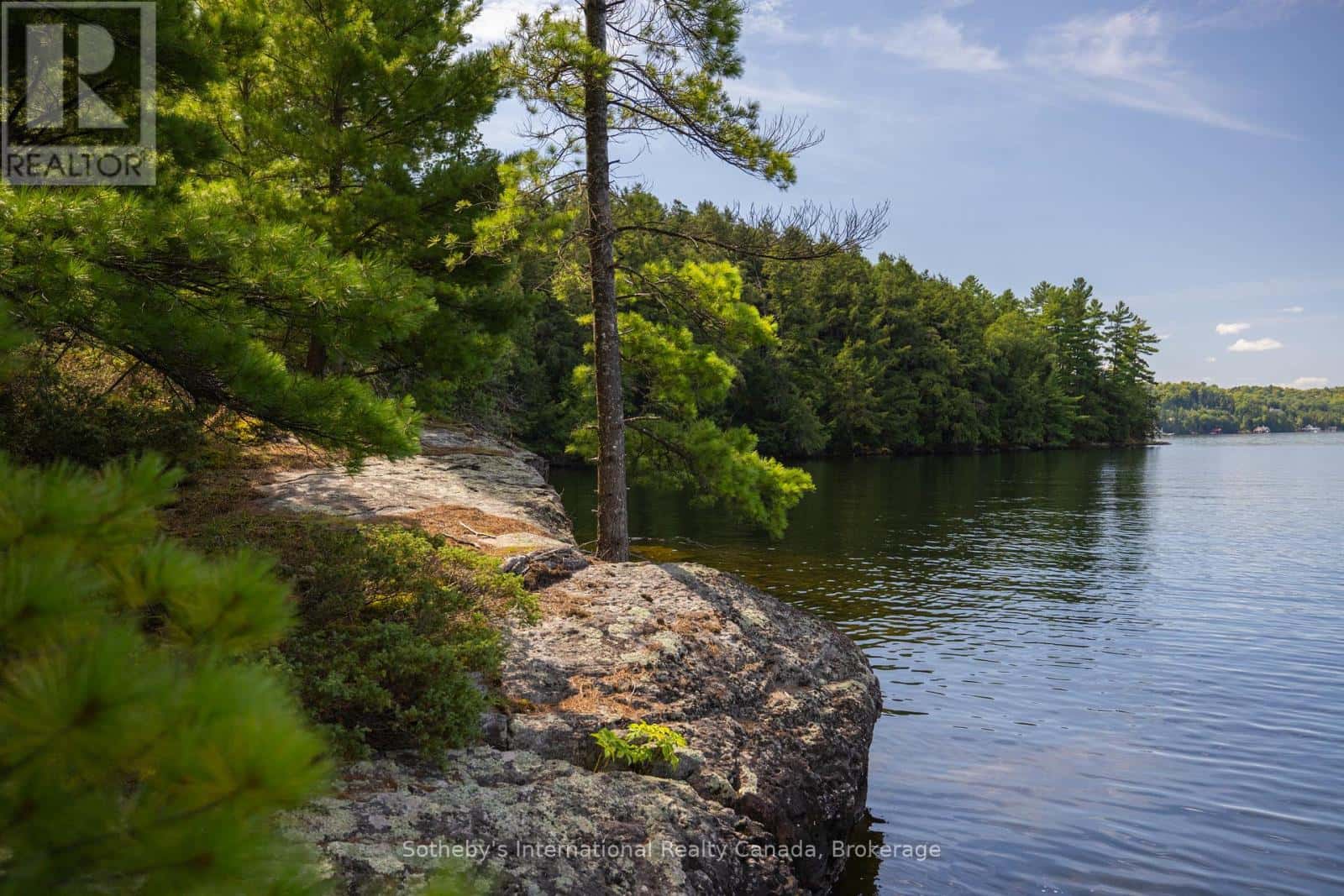 8 - 1124 COATE ROAD — Muskoka Lakes (Cardwell), Ontario - Photo 5 of 33