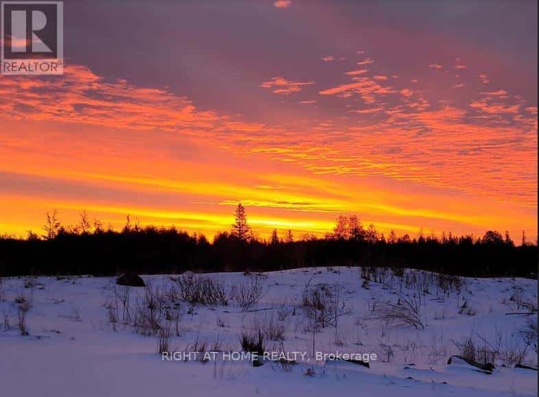 53 SCARLETT LINE — Oro-Medonte, Ontario - Photo 2 of 11