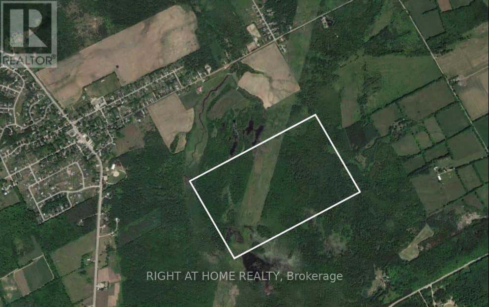 53 SCARLETT LINE — Oro-Medonte, Ontario - Photo 3 of 11