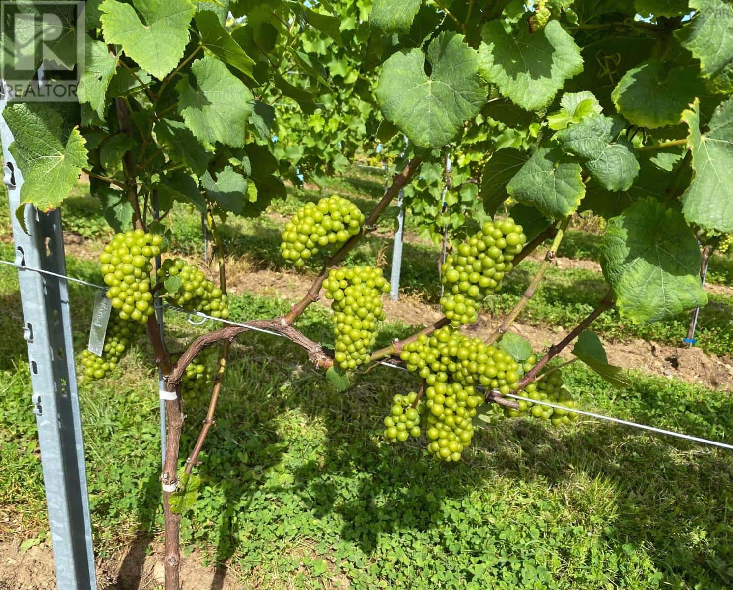 4113 Highway 340 — Carleton, Nova Scotia - Photo 2 of 38