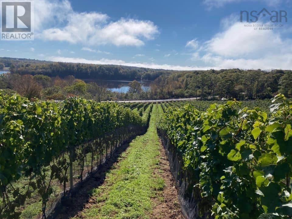 4113 Highway 340 — Carleton, Nova Scotia - Main photo