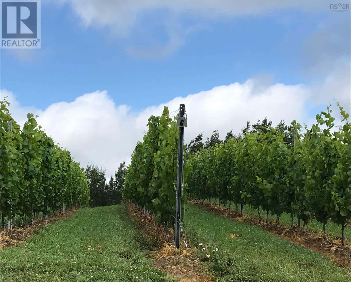 4113 Highway 340 — Carleton, Nova Scotia - Photo 4 of 38