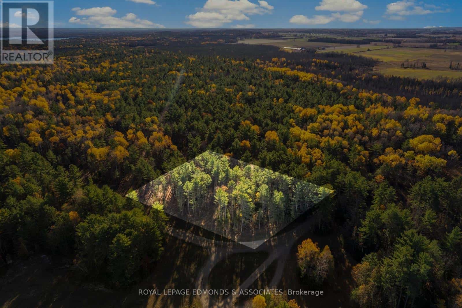 100 NANGOR TRAIL — Whitewater Region, Ontario - Photo 3 of 10