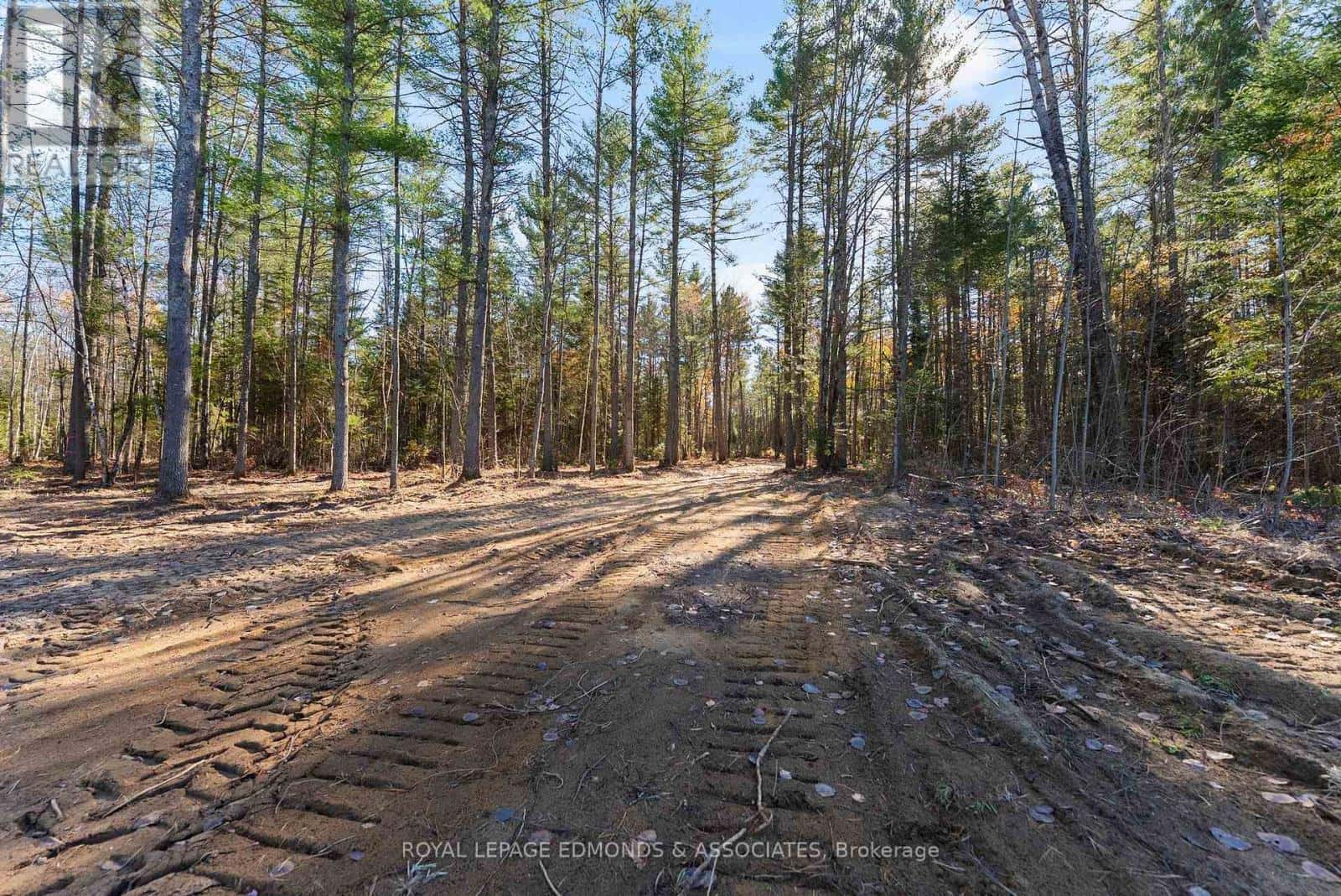 100 NANGOR TRAIL — Whitewater Region, Ontario - Photo 4 of 10