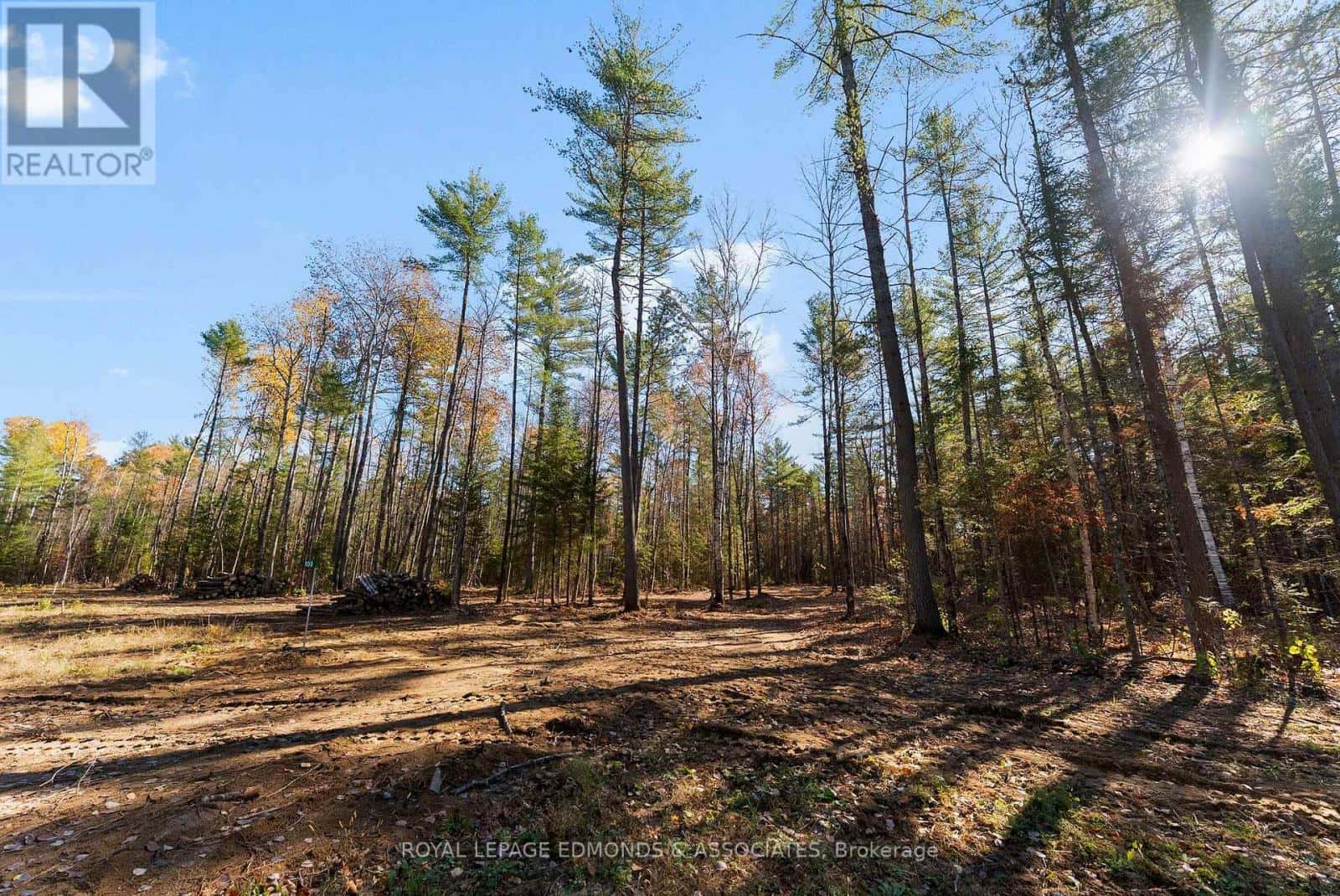 100 NANGOR TRAIL — Whitewater Region, Ontario - Photo 5 of 10