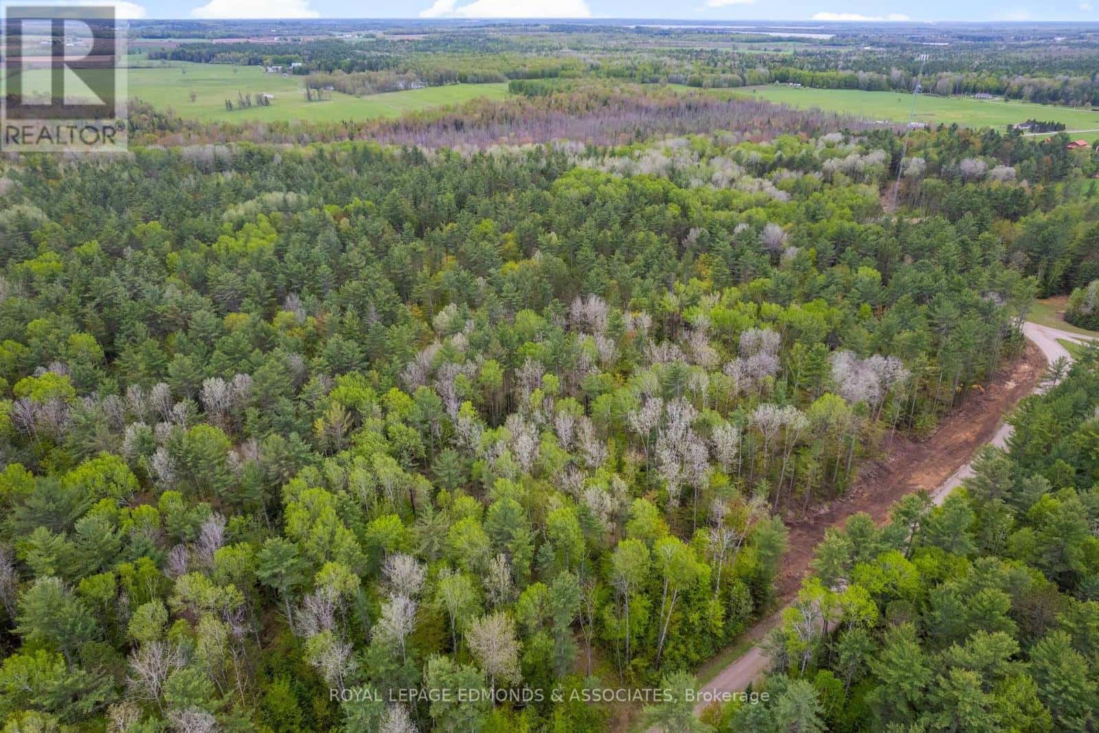 0000 NANGOR TRAIL — Whitewater Region, Ontario - Photo 4 of 8