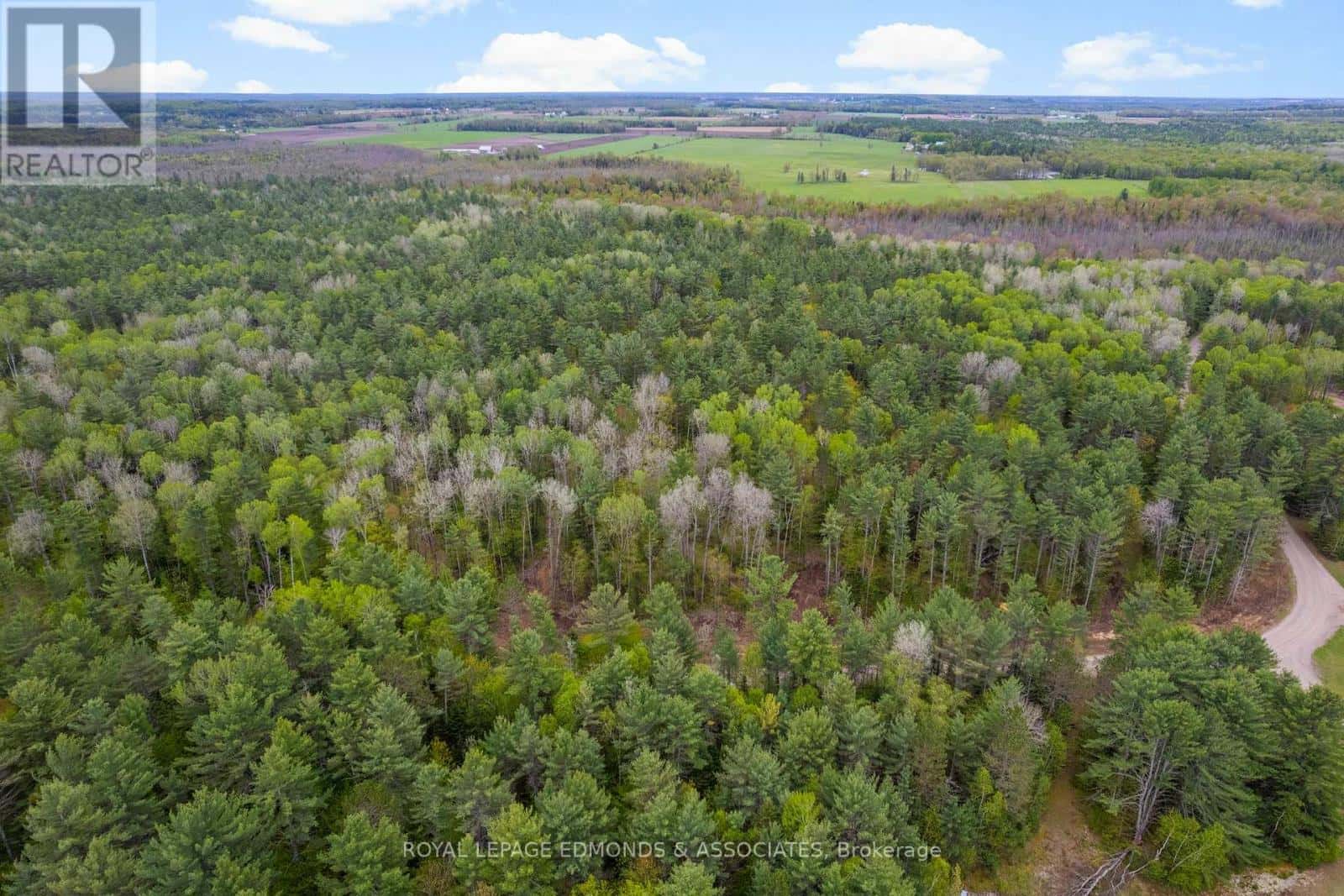 0000 NANGOR TRAIL — Whitewater Region, Ontario - Photo 5 of 8