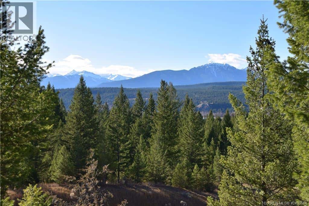7045 WHITE TAIL Lane Lot# 24 — Radium Hot Springs, British Columbia - Photo 4 of 14