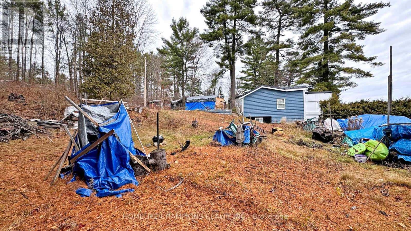 1038 PIKE LANE — Dysart et al (Dysart), Ontario - Photo 3 of 34