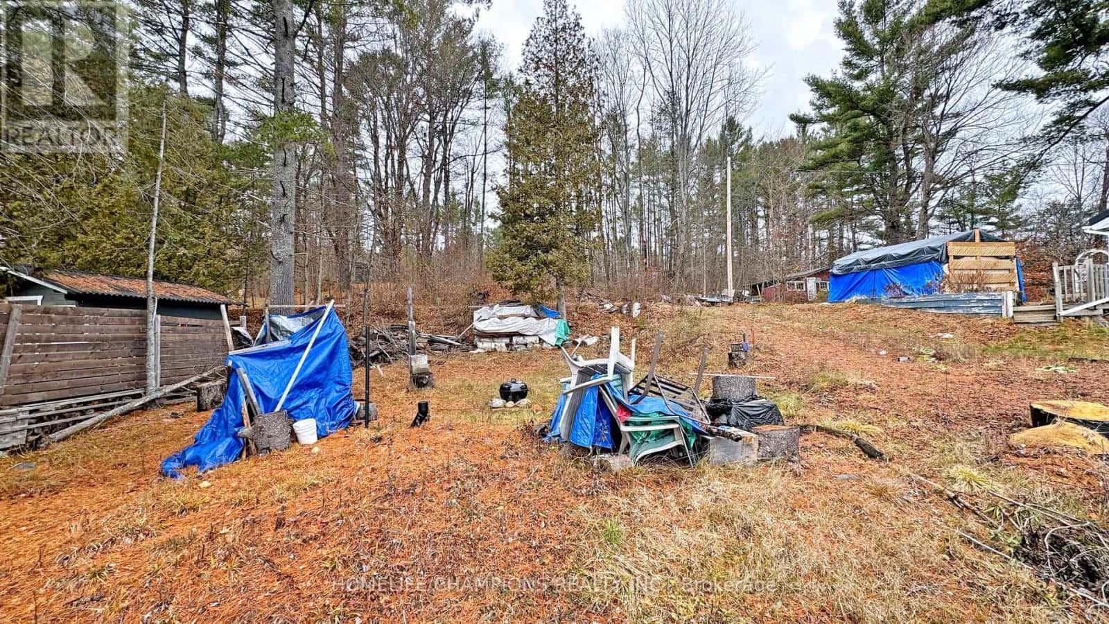 1038 PIKE LANE — Dysart et al (Dysart), Ontario - Photo 4 of 34