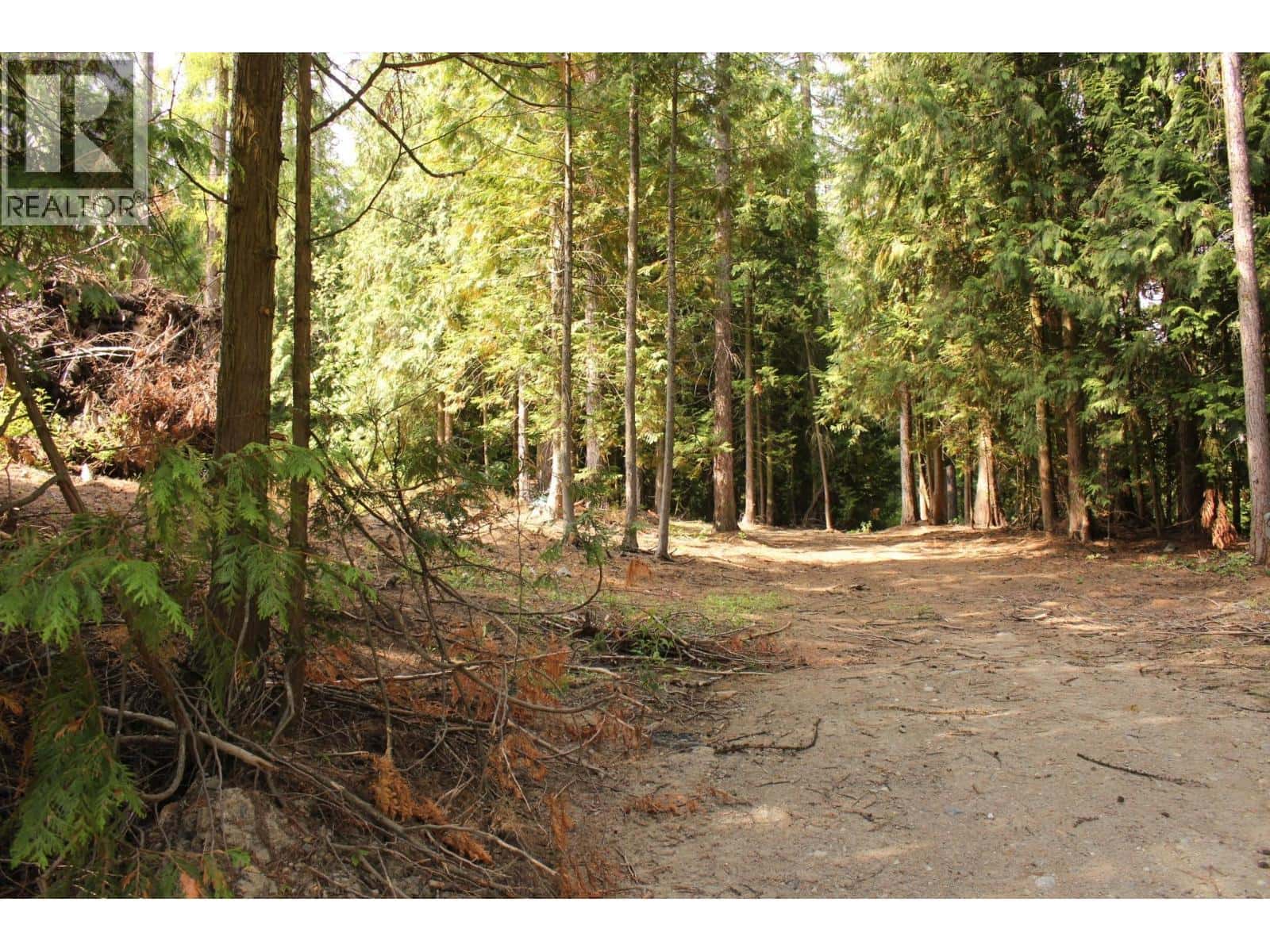 2640 3B Highway — Rossland, British Columbia - Photo 4 of 61