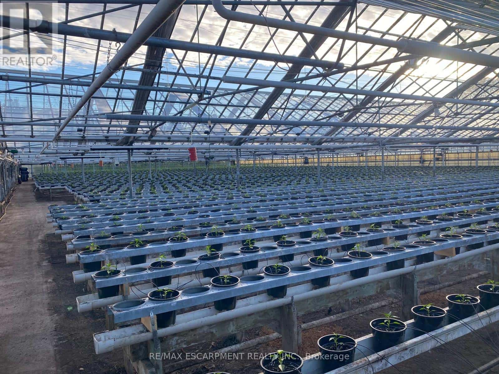 5220-5226 GREENLANE ROAD — Lincoln (Lincoln Lake), Ontario - Photo 5 of 33