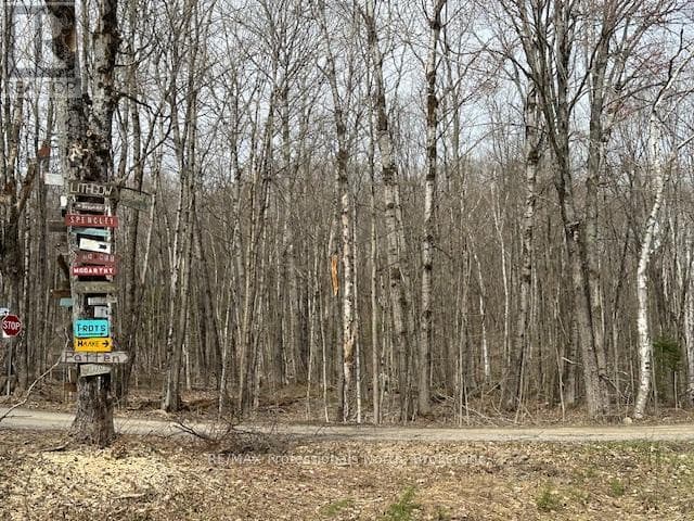 LOT SILVERWOOD ROAD — Minden Hills (Snowdon), Ontario - Main photo