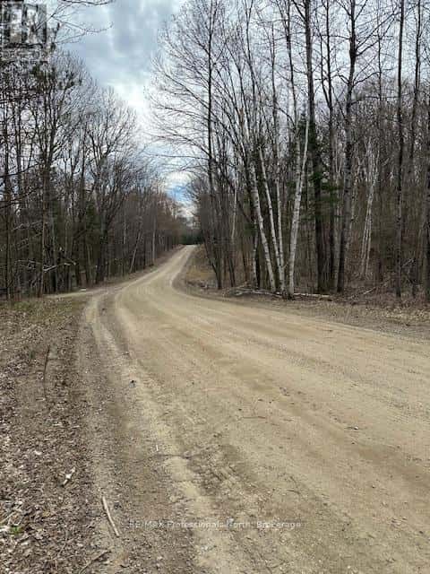 LOT SILVERWOOD ROAD — Minden Hills (Snowdon), Ontario - Photo 2 of 13