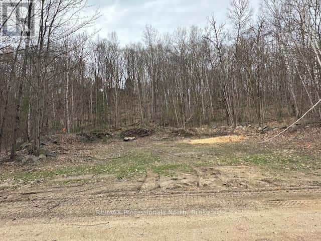 LOT SILVERWOOD ROAD — Minden Hills (Snowdon), Ontario - Photo 4 of 13